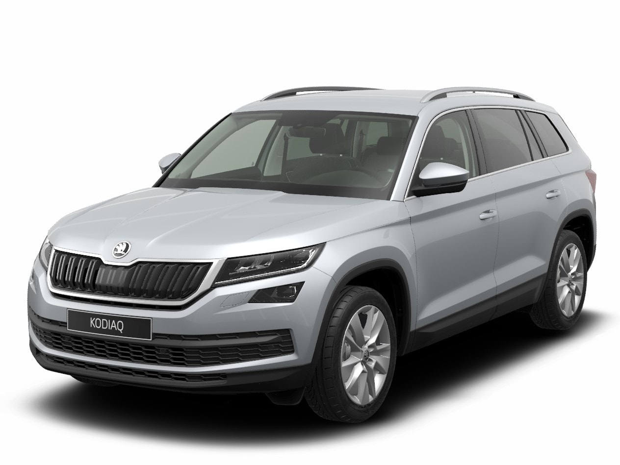 Цвет 8e8e skoda